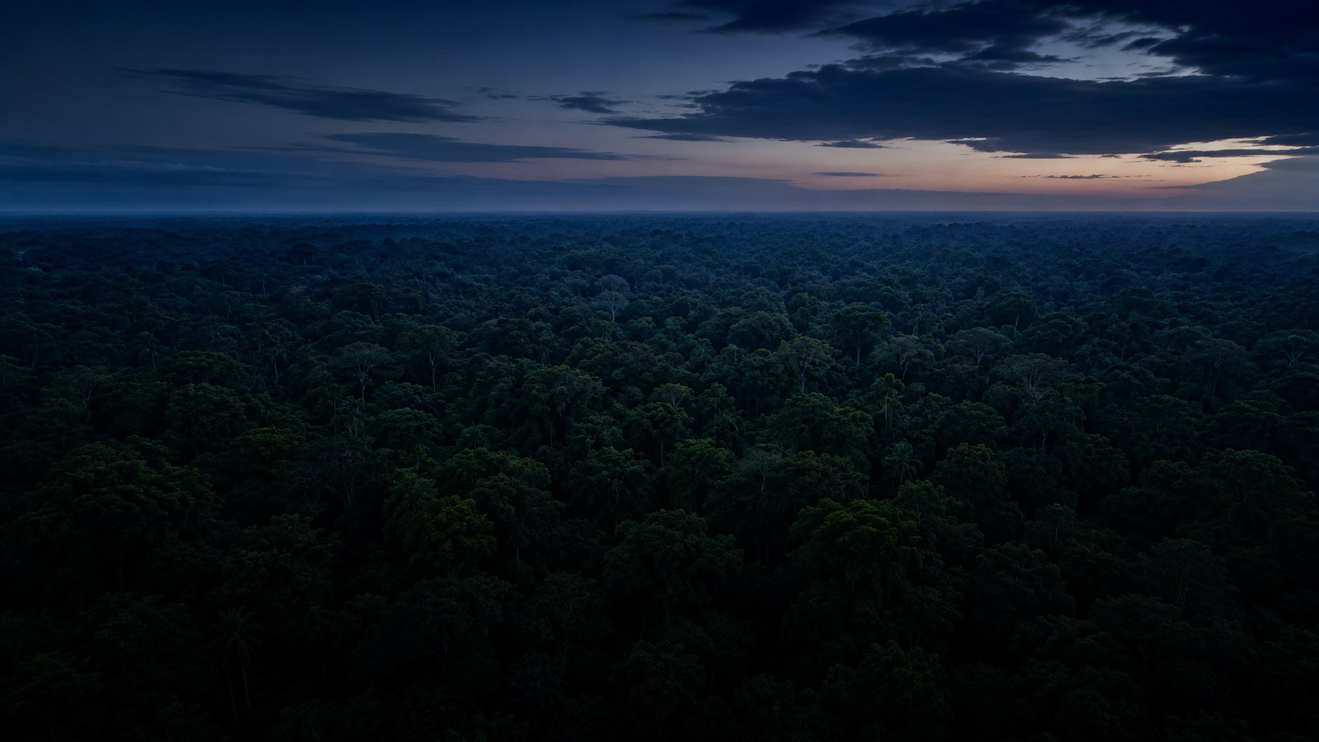 Extreme wilderness
