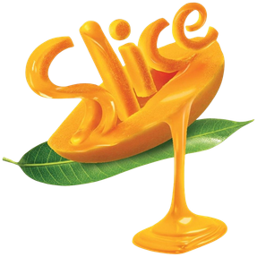 Slice
